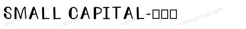 SMALL CAPITAL字体转换